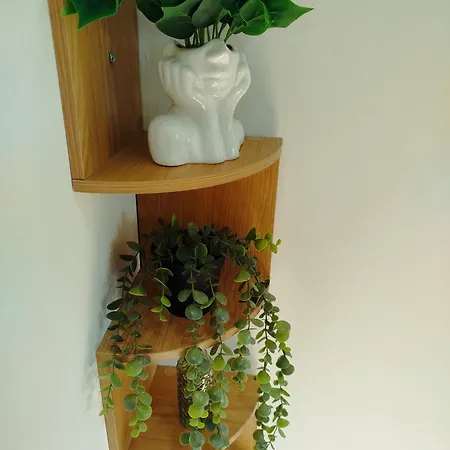 Appartement Le Perchoir De Linas, Filet Suspendu, Cosy *